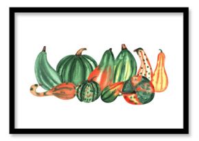 Autumn composition. Pumpkin isolated watercolor illustration for postcard, poster design. Vegetable pumpkin