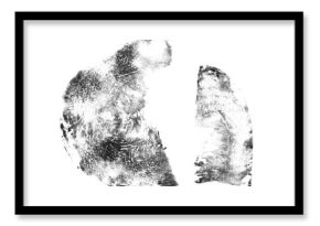 Monochrome hand-drawn print of squash slice with detailed natural texture. Black ink vegetable stamp with visible pulp, skin patterns. Eco friendly design, food prints, botanical art, vegan visuals