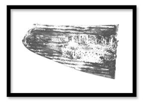 Monochrome hand-drawn print of squash slice with detailed natural texture. Black ink vegetable stamp with visible pulp, skin patterns. Eco friendly design, food prints, botanical art, vegan visuals