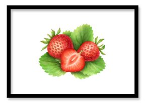 Group of strawberries. Watercolor painting on transparent background