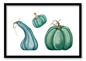 A watercolor set of blue and green decorative pumpkins and gourds, isolated without background.