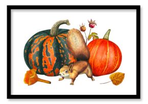 Hand drawn composition featuring harvest, pumpkins, squirrel, mashroom. Watercolor illustration.