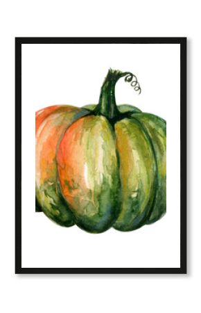 Watercolor green pumpkin illustration isolated on white background. Autumn decoration element for design in the autumn festival, greeting cards, invitation, poster.