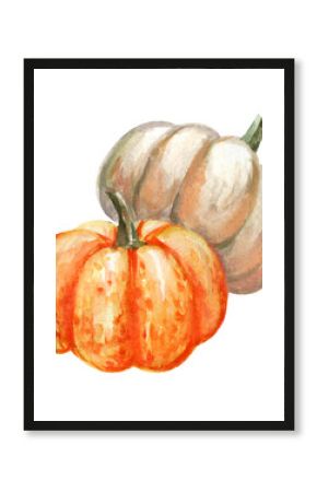 Watercolor pumpkins illustration isolated on white background. Autumn decoration element for design in the autumn festival, greeting cards, invitation, poster.