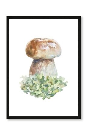 Edible white mushroom Boletus with brown cap on green moss, lichen. Hand drawn watercolor illustration isolated. Cards, invitations, banners, posters.