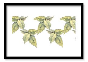 Seamless rim with watercolor grass and leaves on white background. Hand-drawn green bush with bud. Branch for invite card or frame for wedding celebration and sticker. Border for wallpaper wrapping