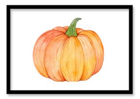 Watercolor pumpkin isolated on white background. Handpainted vegetable illustration.