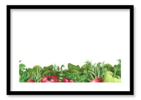 Border with rosemary, basil, tomatoes, chili and bell pepper. Watercolor frame. Illustration for template, menu, poster