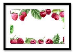 Botanical watercolor illustration of red raspberry.