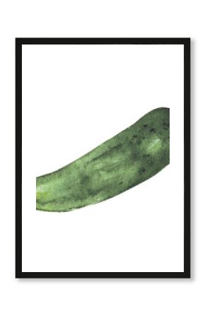 Cucumber hand drawn watercolor painting on white background.  illustration