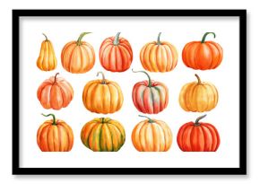 Pumpkins isolated white background. Watercolor hand-painted pumpkins set, Autumn botanical painting fall, orange pumpkin