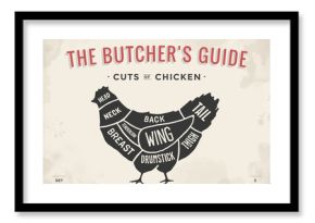 Cut of meat set. Poster Butcher diagram and scheme - Chicken. Vintage typographic hand-drawn. Illustration.