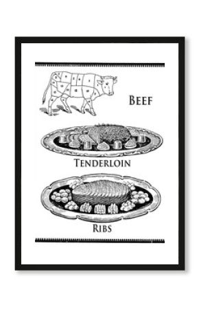 Vintage cuisine engraving,  butcher beef cuts and the art of preparing tenderloin and ribs