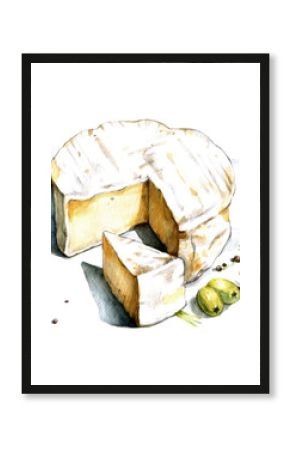 Camembert watercolor illustration on white background