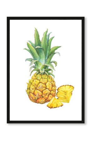 Ripe whole and slice of baby pineapple with green leaves. Hand drawn botanical watercolor painting illustration isolated on white background.