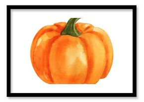 Pumpkin. Watercolor painting on white background. Autumn harvest. Vegetarian raw food