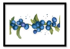 Stylized Berry. Drawing of stylized berries blueberries, blueberries. Drawing on a white background.