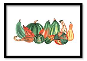 Autumn composition. Pumpkin isolated watercolor illustration for postcard, poster design. Vegetable pumpkin