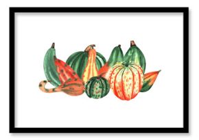 Autumn composition. Pumpkin isolated watercolor illustration for postcard, poster design. Vegetable pumpkin