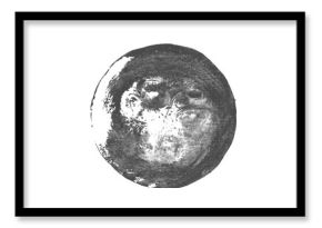 Monochrome hand-drawn print of squash slice with detailed natural texture. Black ink vegetable stamp with visible pulp, skin patterns. Eco friendly design, food prints, botanical art, vegan visuals