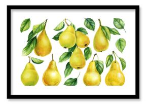 Watercolor yellow pear fruit set with green leaves hand painted botanical illustration for kitchen decor and food packaging design