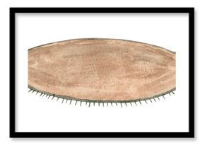 Watercolor carpet for interior design concepts. Isolated background element for invitation, greeting card, wrapping paper, poster