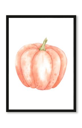 Hand drawn watercolor ripe orange pumpkin isolated on white background. Rural illustration Can be used for postcard, label, scrapbook and other printed products.