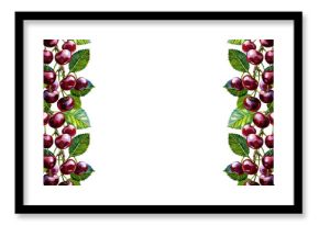 Border frame with cherry fruits. Handmade watercolor illustration. Botanical painting. Great for labels and packaging, for postcards and posters, for menus and cooking recipes.