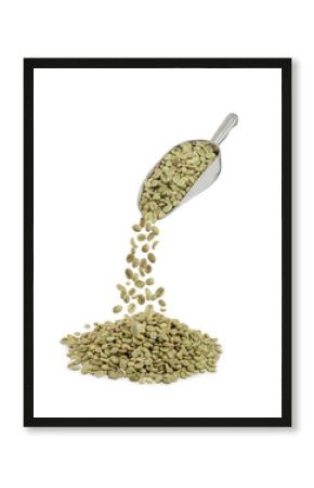 Green coffee beans