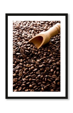 コーヒー豆  