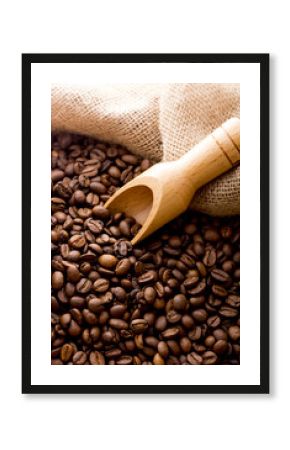 コーヒー豆  