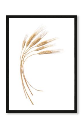 grano