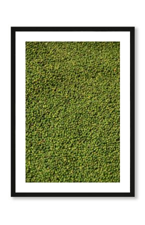 séchage poivre vert