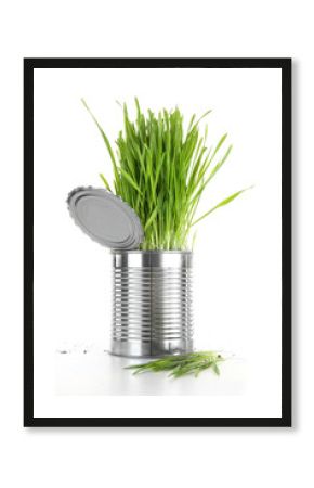 Closeup of wheatgrass in an aluminum can on white