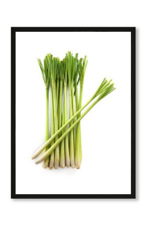 Lemon grass on white background