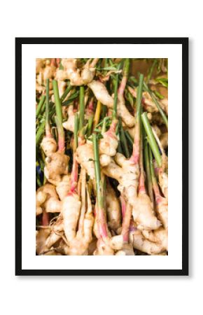 Fresh ginger root at the market