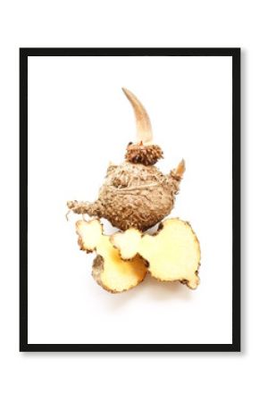 Konjac, Elephant yam, Stanley s water-tub