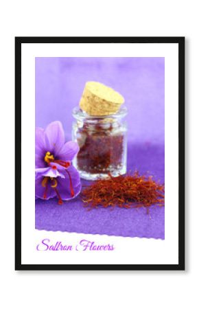 Dried saffron spice and Saffron flower