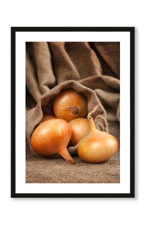 Onion in bag