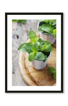 Green fresh mint on the wooden table
