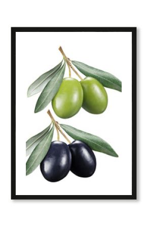 Green and black olives with leaves on a white background.