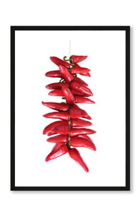 Piments d'Espelette / Espelette pepper (Capsicum annuum)