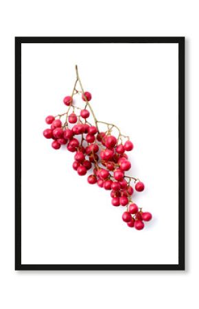 cluster of pink peppercorns isolated