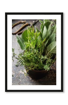 Mix of fresh Italian herbs from garden on an old table. Rosemary, temyan, oregano. Dark background.