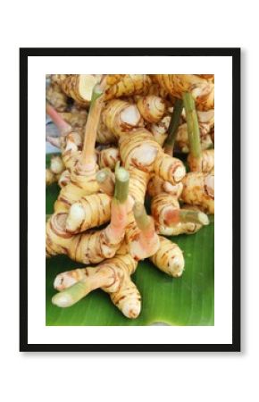 Fresh galangal for cooking in the market