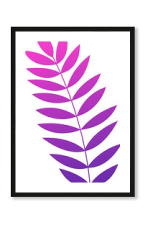 Flat design fern leaf is showing pink to purple gradient on transparent backdrop, copy space