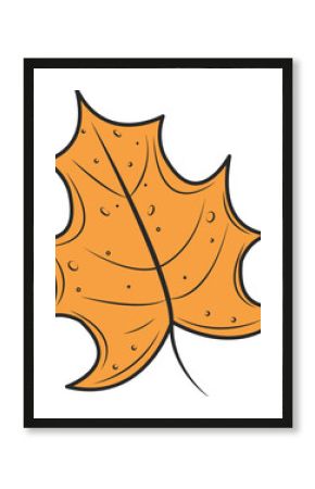 Stylized orange leaf is floating on transparent background showing thick outline and curved veins