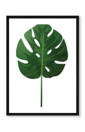 Monstera-like tropical leaf is being showcased in flat design, transparent background