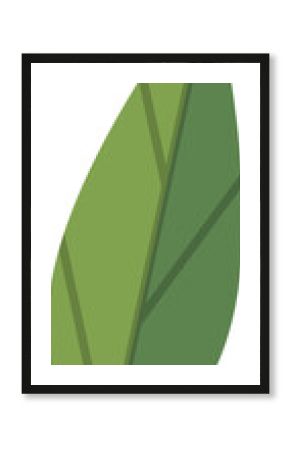 Single stylized botanical leaf is floating as flat vector illustration, with transparent background