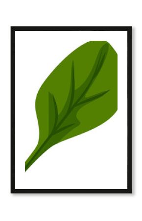 Stylized green leaf is floating in vector art with darker green veins on transparent background